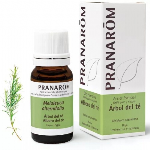 Pranarom aceite esencial de arbol de te
