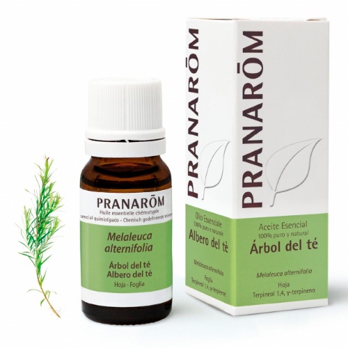 Pranarom aceite esencial de arbol de te