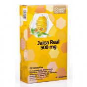 Arkoreal jalea real (50o mg 20 ampollas)