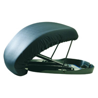 COJÍN ELEVADOR SEAT ASSIST